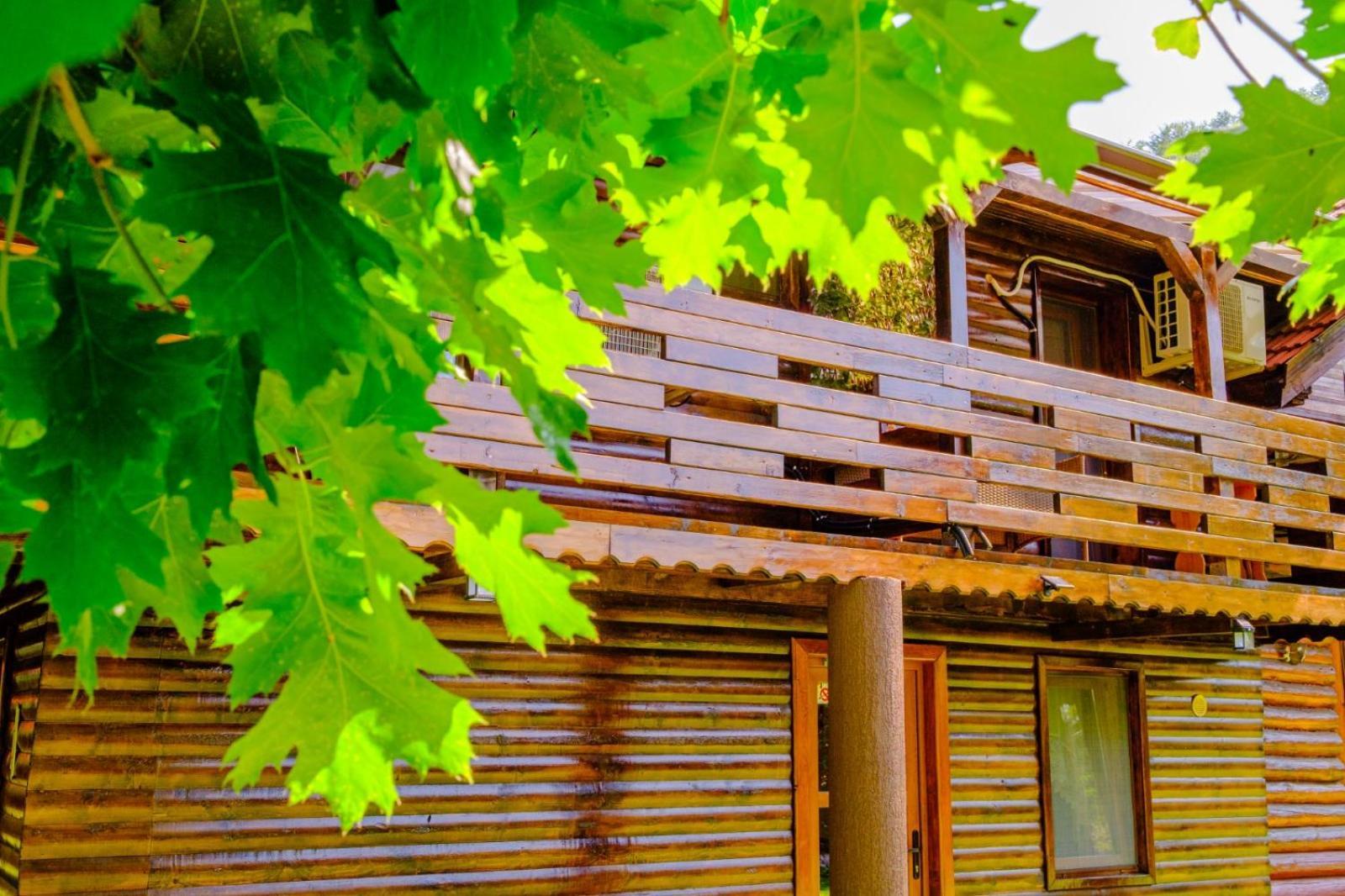 Gasthof Casa Bunicii Costeşti