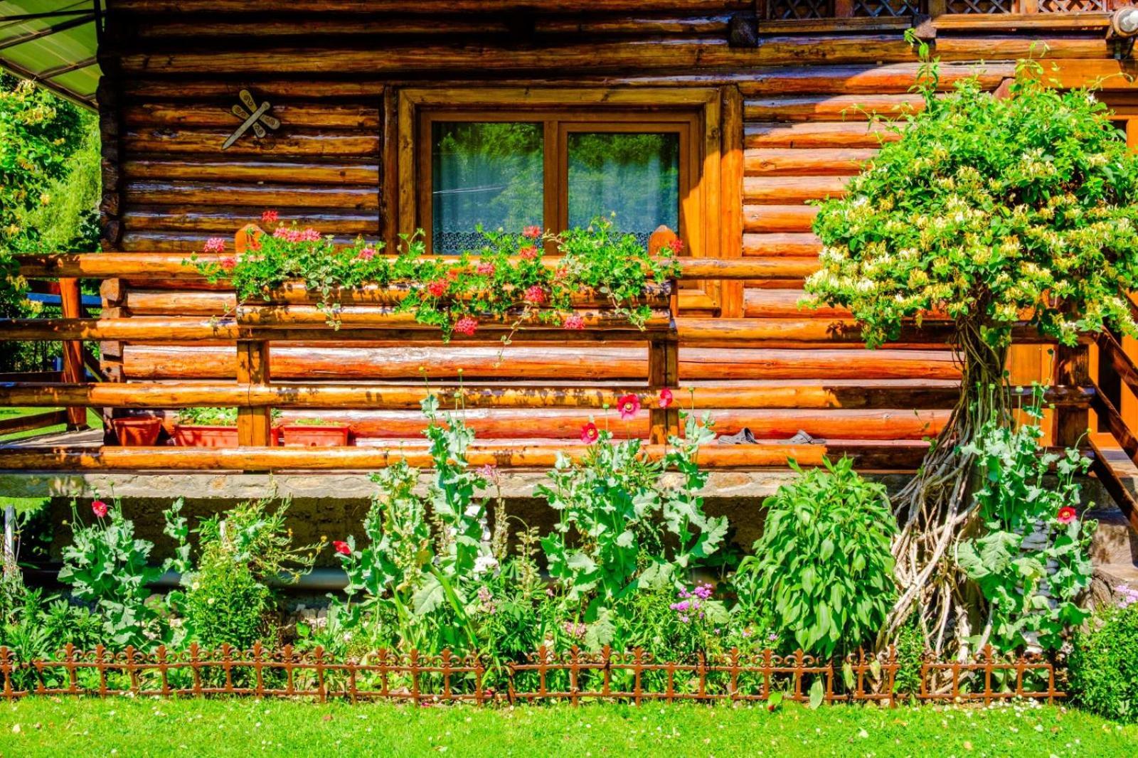 Casa Bunicii Gasthof Costeşti