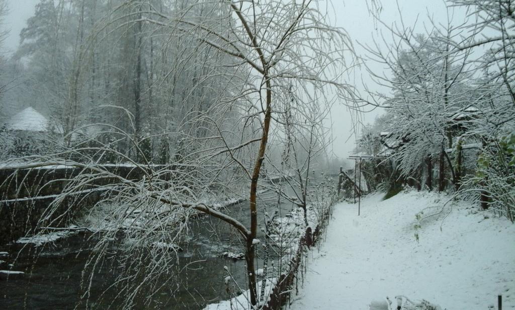 Gasthof Casa Bunicii